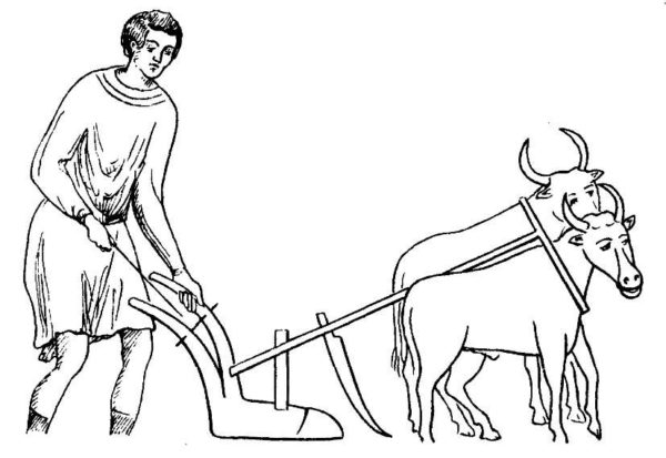 общественный строй славян в VI-VIII веках, быки, запряженные в плуг